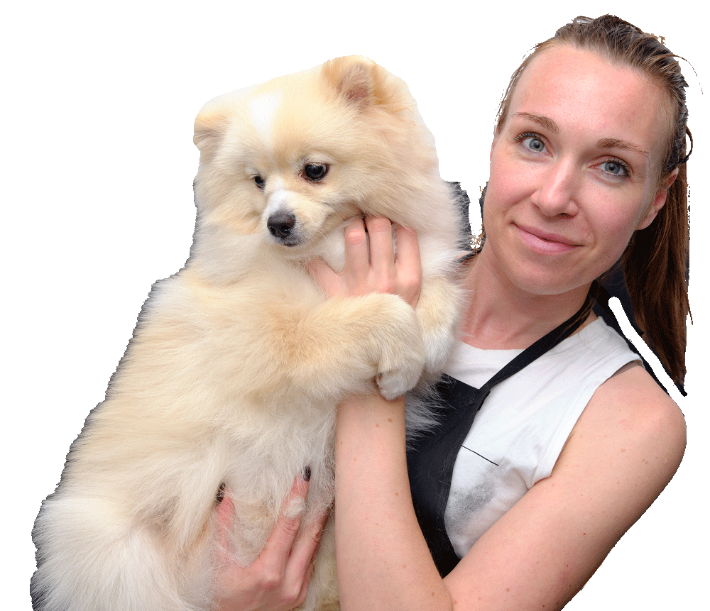 Prepare Your Pets for Disasters - Ready.gov